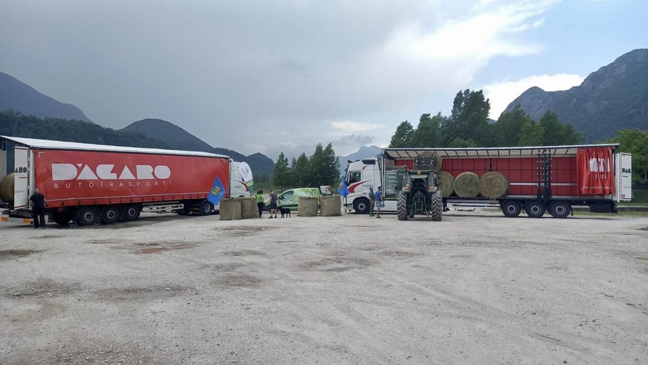 Autotrasporti D'Agaro & C. srl