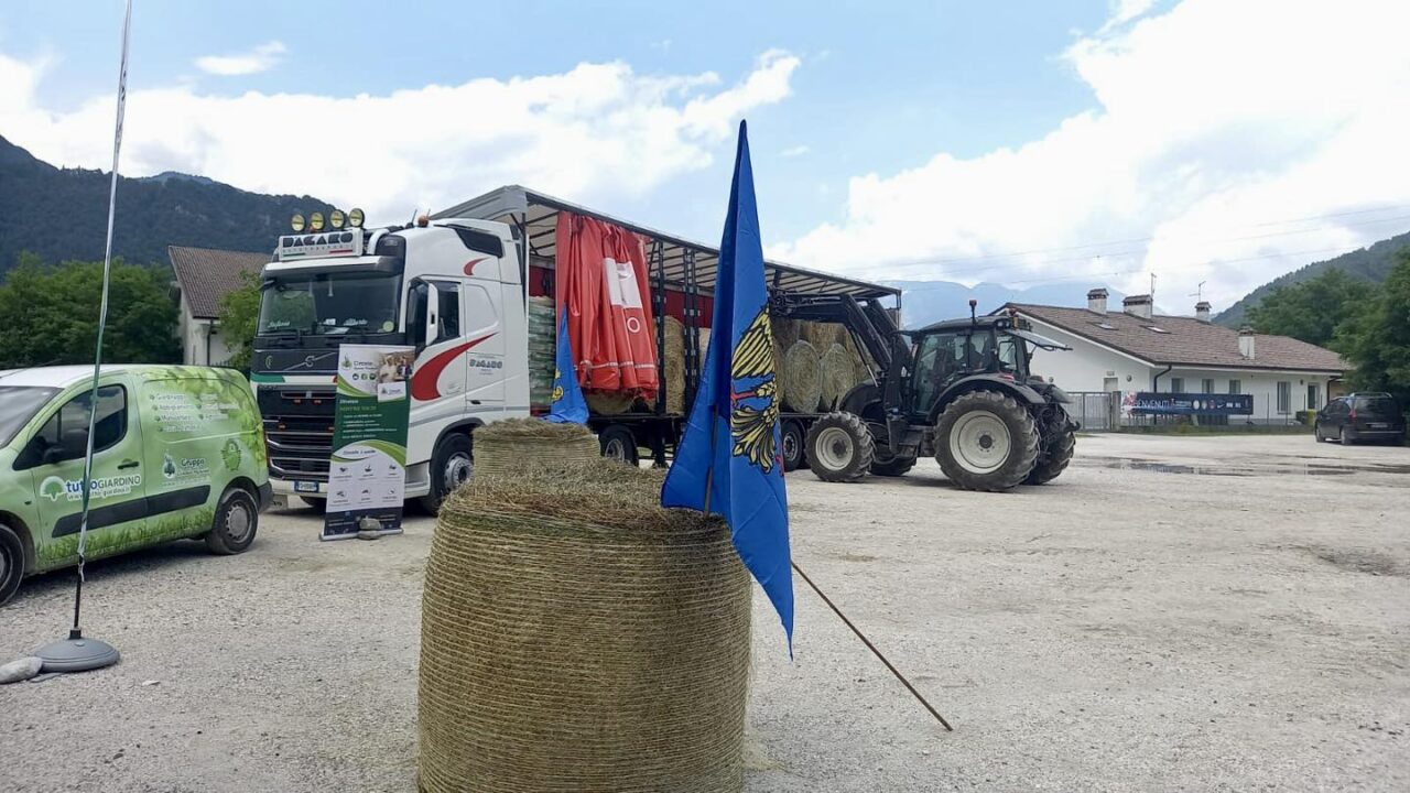 Autotrasporti D'Agaro & C. srl