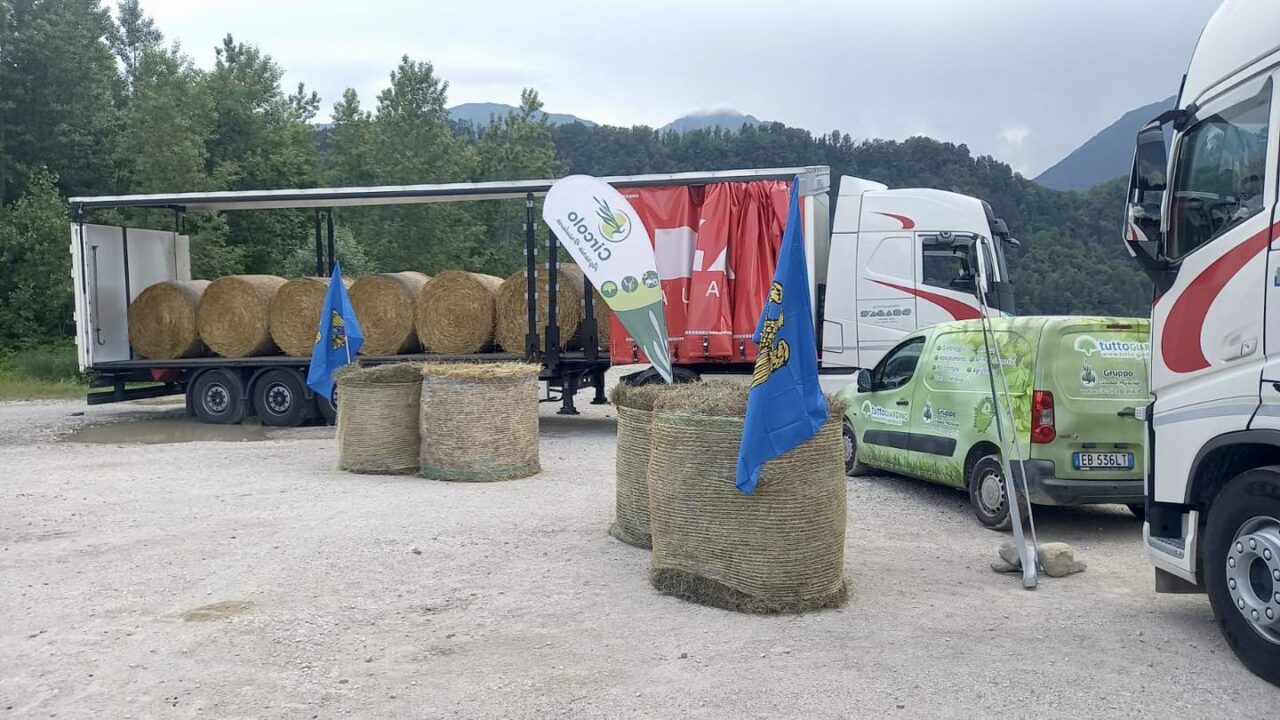 Autotrasporti D'Agaro & C. srl